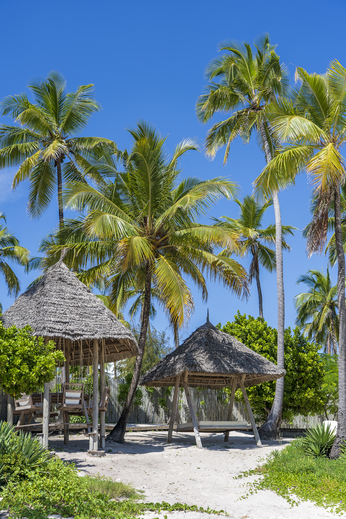 ZANZIBAR