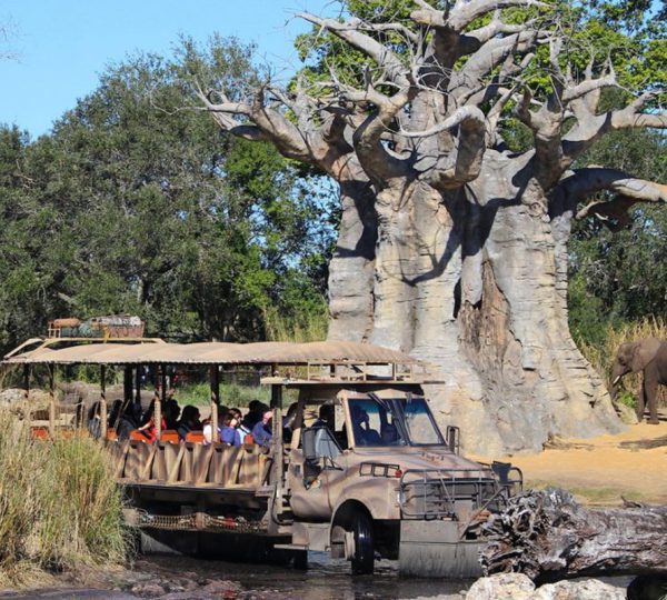 Discovery Islands